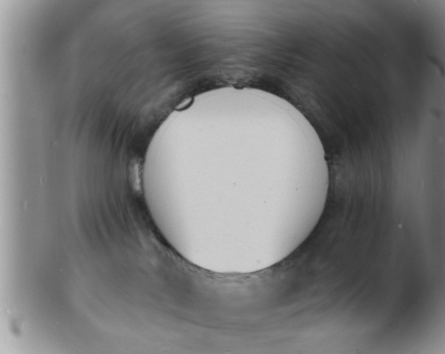 X0000103300042200809122039