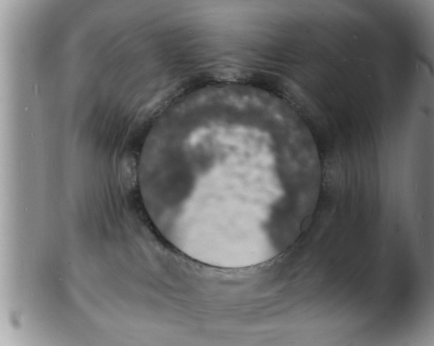 X0000103300043200809122039