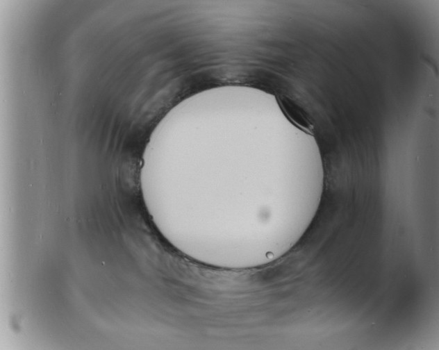 X0000103300044200809122039