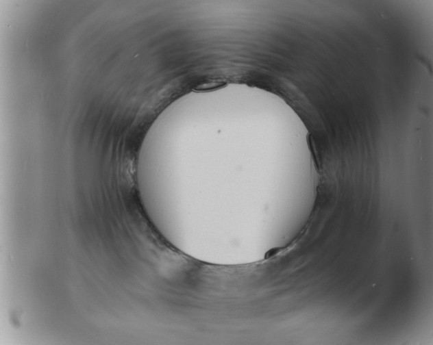 X0000103300045200809122039