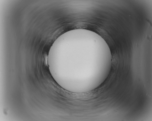 X0000103300046200809122039