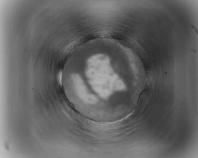 X0000103300047200809122039