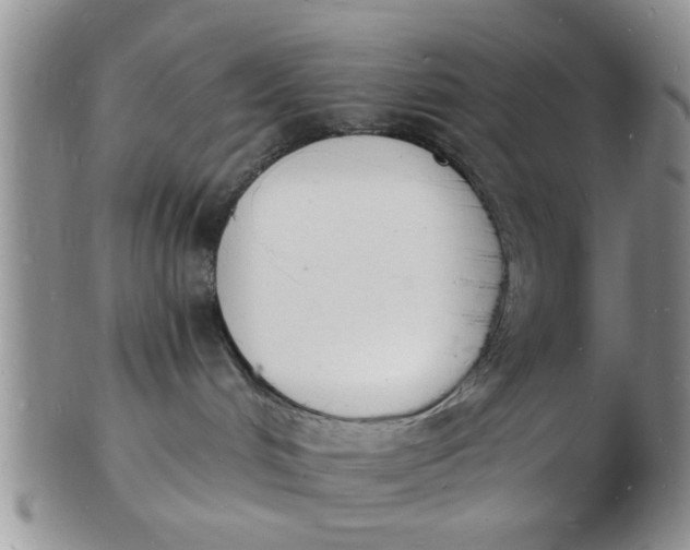 X0000103300048200809122039