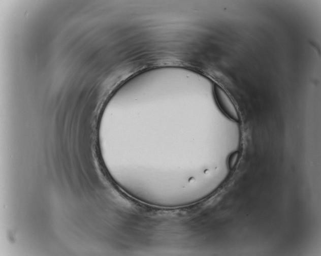 X0000103300049200809122038