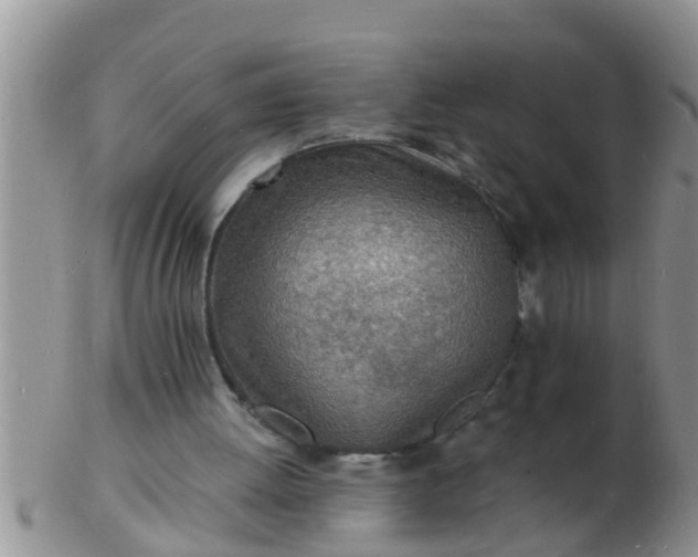 X0000103300052200809122038