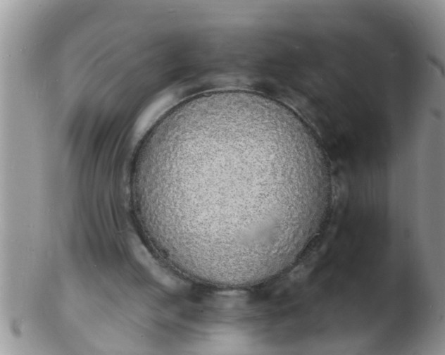 X0000103300053200809122038