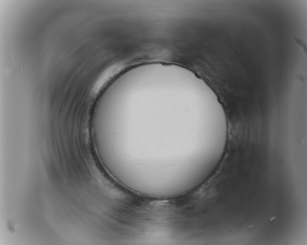 X0000103300054200809122038