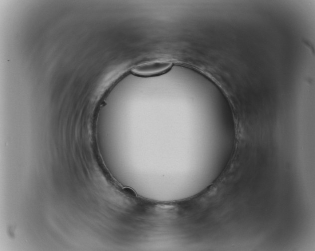 X0000103300055200809122038