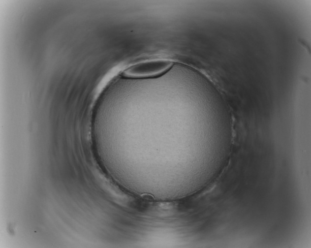 X0000103300056200809122038