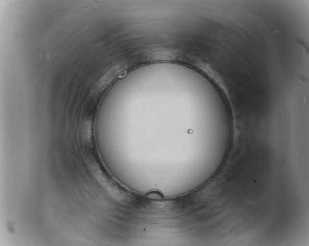 X0000103300057200809122038