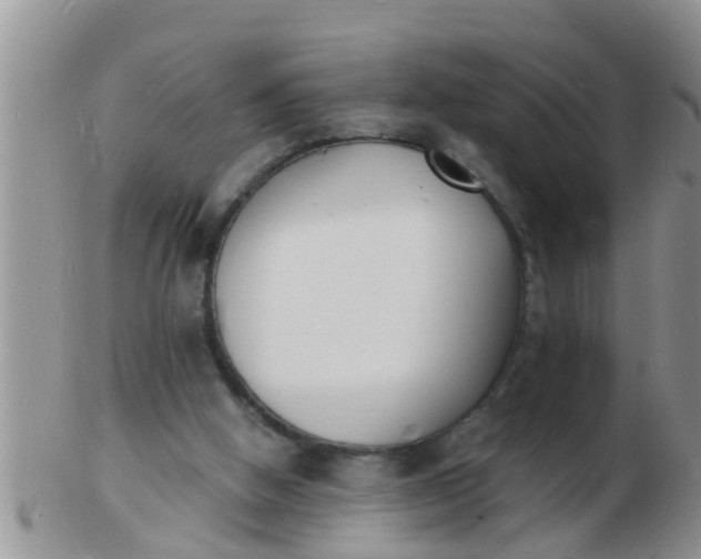 X0000103300058200809122039