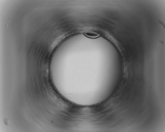 X0000103300059200809122039