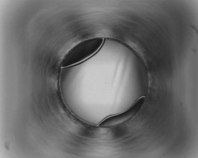 X0000103300060200809122039