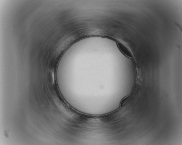 X0000103300061200809122039