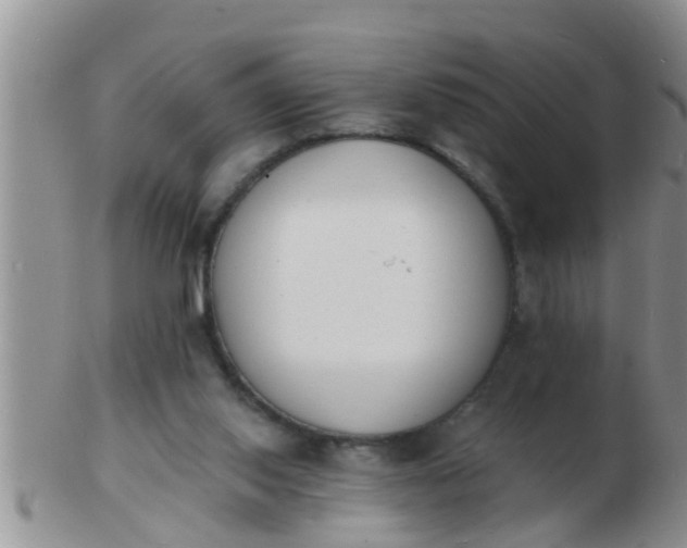 X0000103300062200809122039