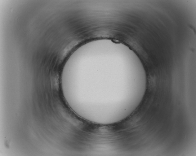 X0000103300064200809122039