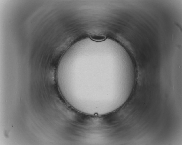 X0000103300065200809122039