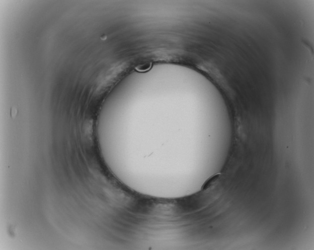 X0000103300066200809122039