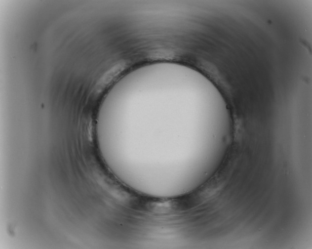 X0000103300068200809122039