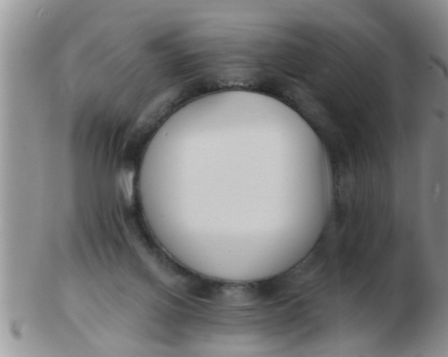 X0000103300070200809122039