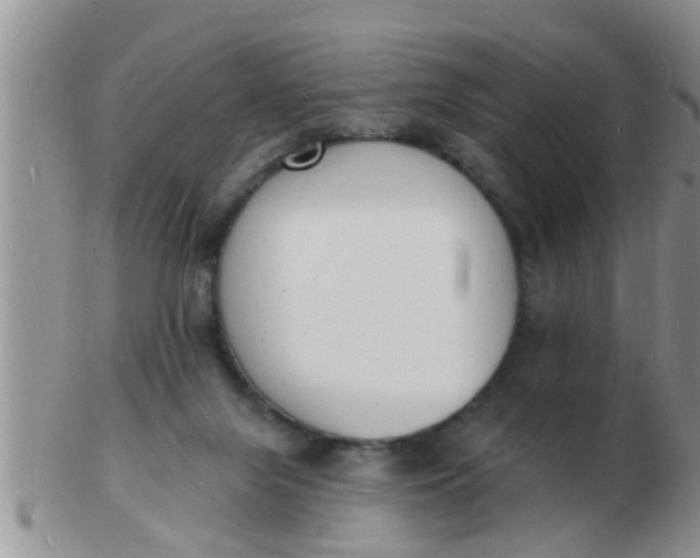 X0000103300071200809122039