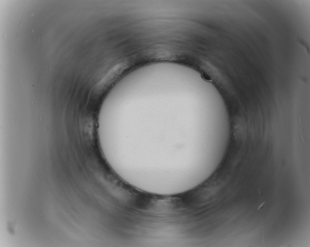 X0000103300072200809122039