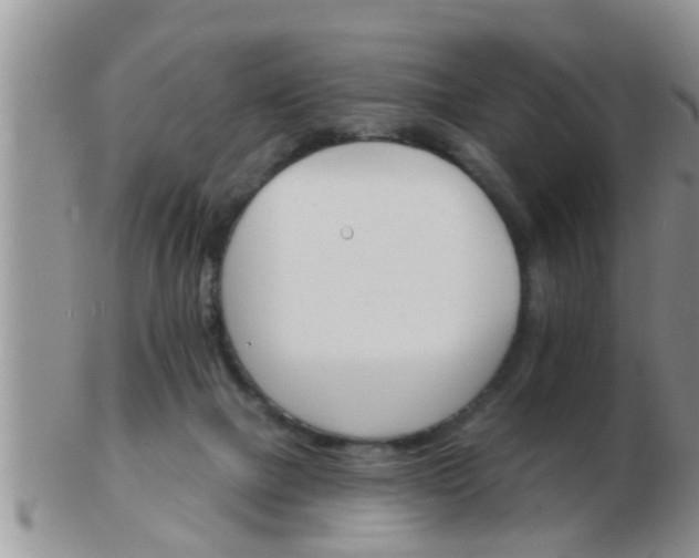 X0000103300073200809122039