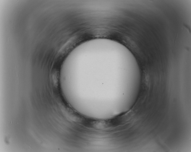 X0000103300074200809122039