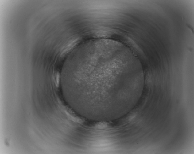 X0000103300076200809122039