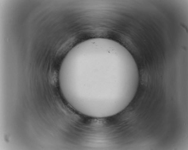 X0000103300077200809122039