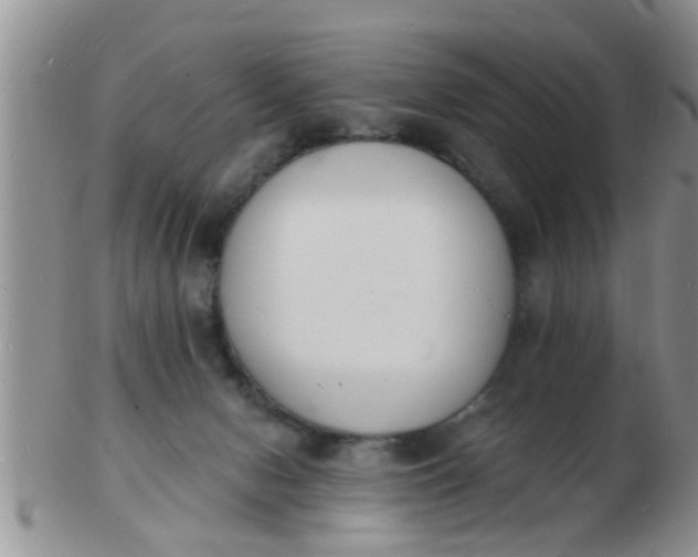 X0000103300078200809122039