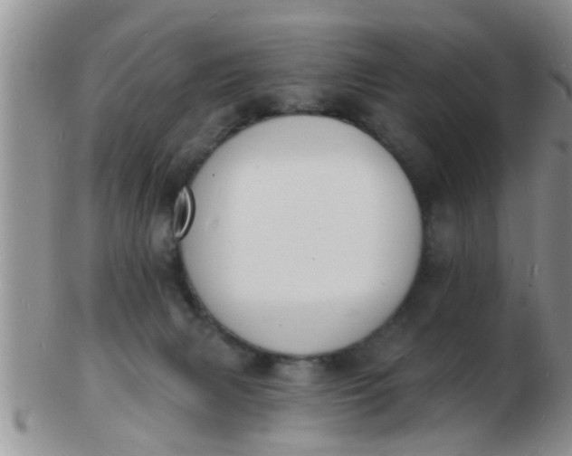 X0000103300079200809122039