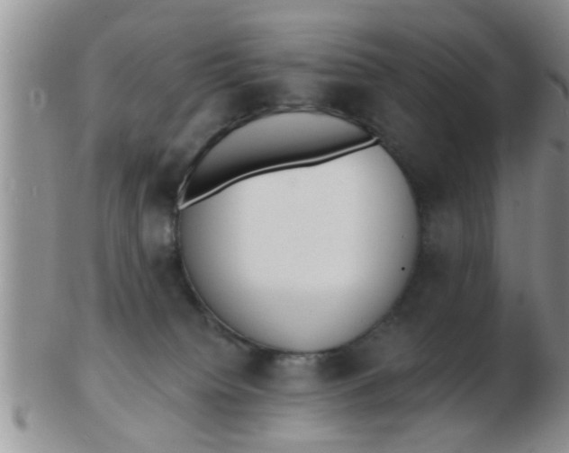 X0000103300084200809122039