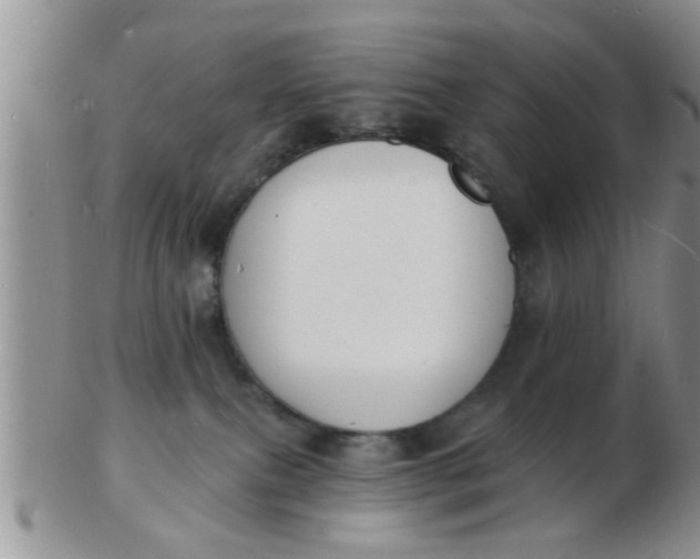 X0000103300087200809122039