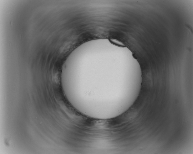 X0000103300088200809122039