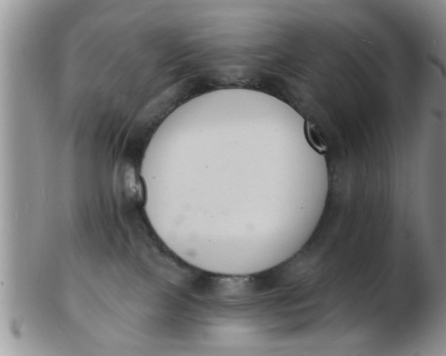 X0000103300089200809122039