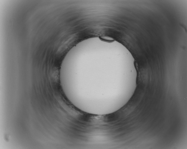 X0000103300092200809122039