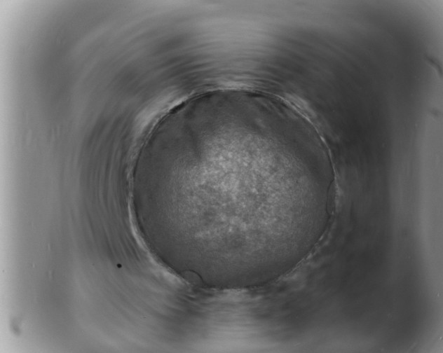 X0000103300097200809122038