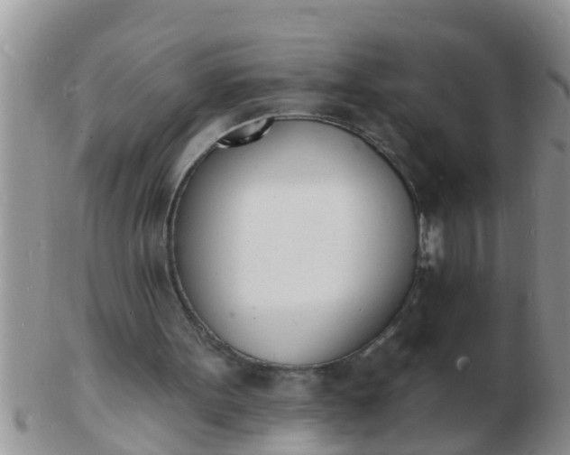 X0000103300099200809122038