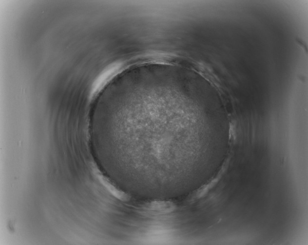 X0000103300101200809122038