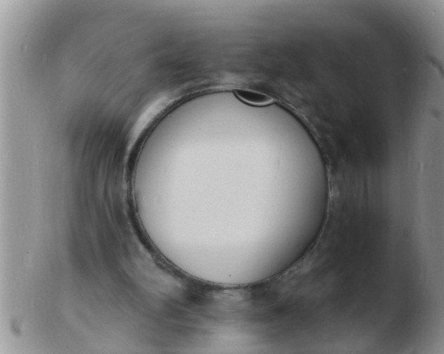 X0000103300102200809122038