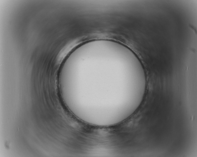 X0000103300103200809122038