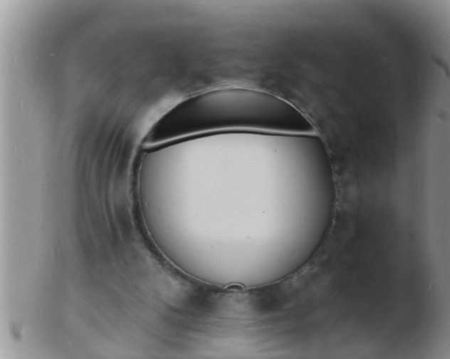 X0000103300104200809122038