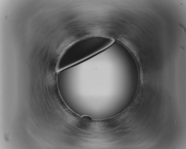 X0000103300105200809122038