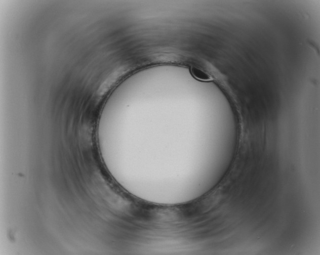 X0000103300106200809122038