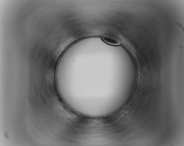 X0000103300107200809122038