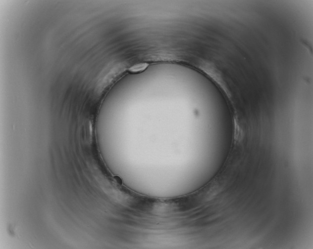 X0000103300109200809122038