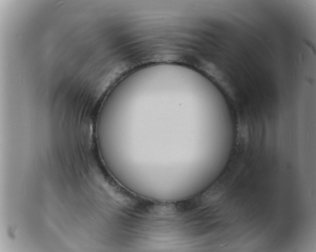 X0000103300110200809122038