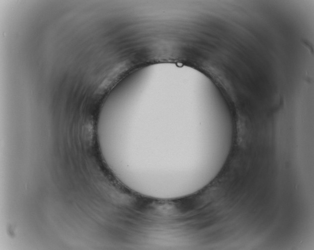 X0000103300113200809122038