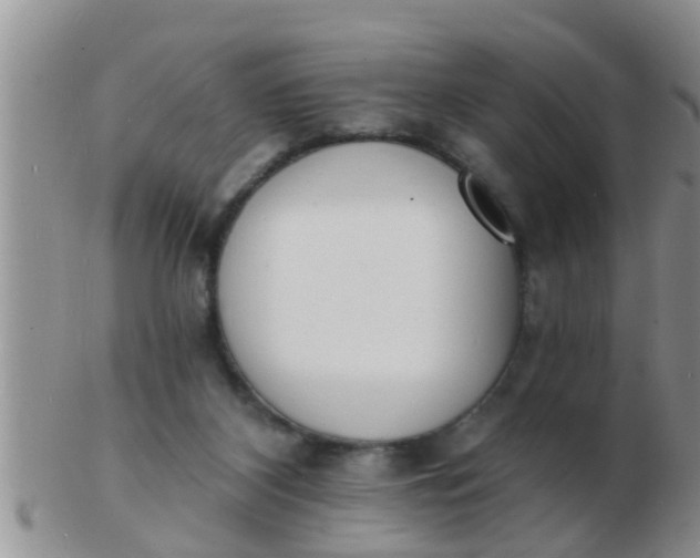 X0000103300116200809122038